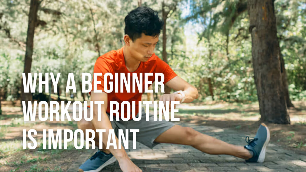 Why a Beginner Workout Routine Is Important